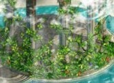 游戏截图2