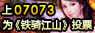 07073