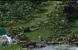 新手副本