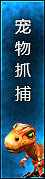 宠物抓捕